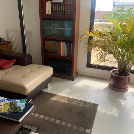 Duplex Apartment Saint-Maur-des-Fosses